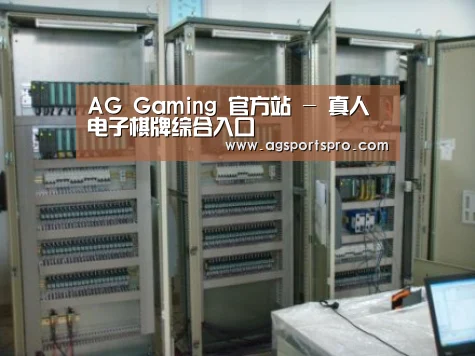 AGGaming案例展示五