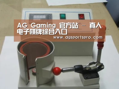 AGGaming案例展示六
