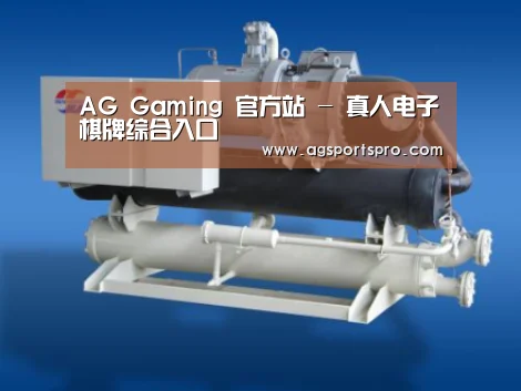 AGGaming案例展示四(图1)