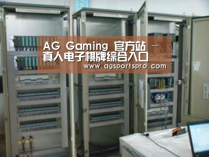 AGGaming案例展示五(图1)