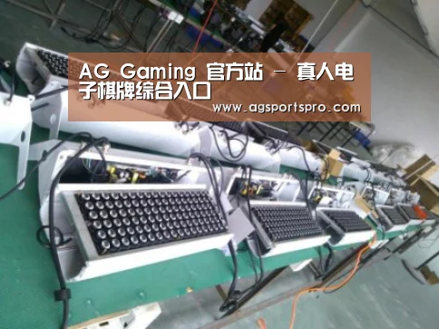 AGGaming案例展示一(图1)