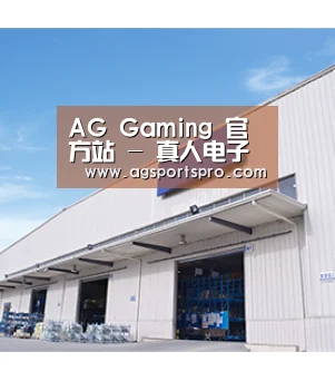 AG Gaming 官方站 - 真人电子棋牌综合入口