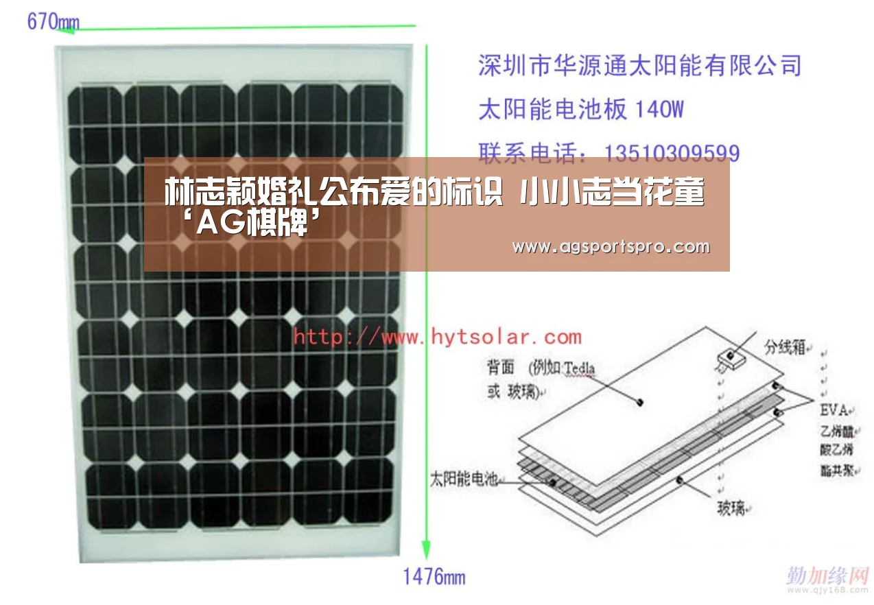 林志颖婚礼公布爱的标识 小小志当花童‘AG棋牌’(图1)