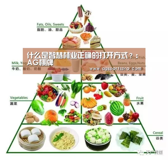 AG棋牌