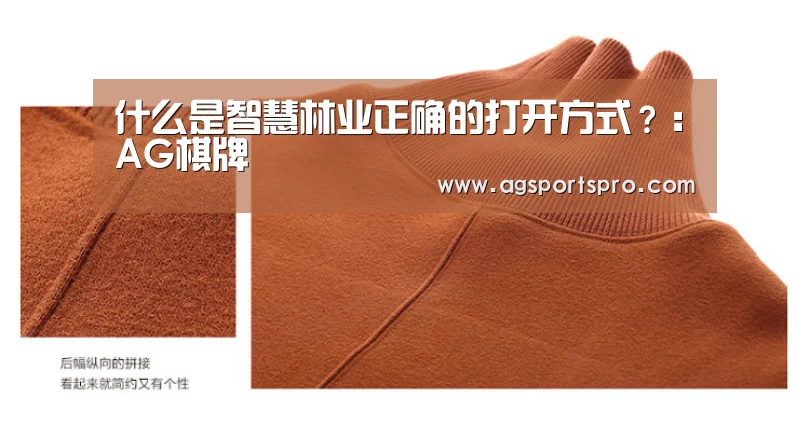 什么是智慧林业正确的打开方式？：AG棋牌(图3)