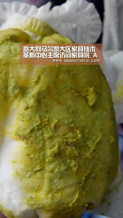 意大利马尔凯大区家具技术革新中心主席访问家具院_AG电子(图1)