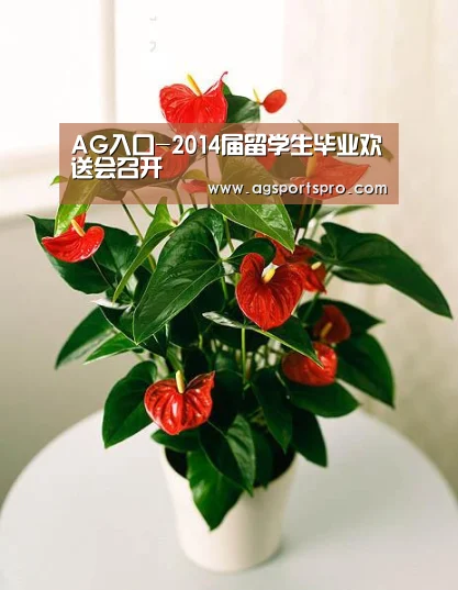 AG入口-2014届留学生毕业欢送会召开(图1) AG入口