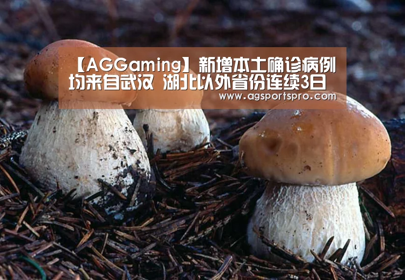 AG棋牌